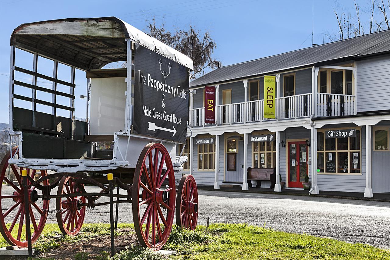 Mole Creek Guesthouse Extérieur photo