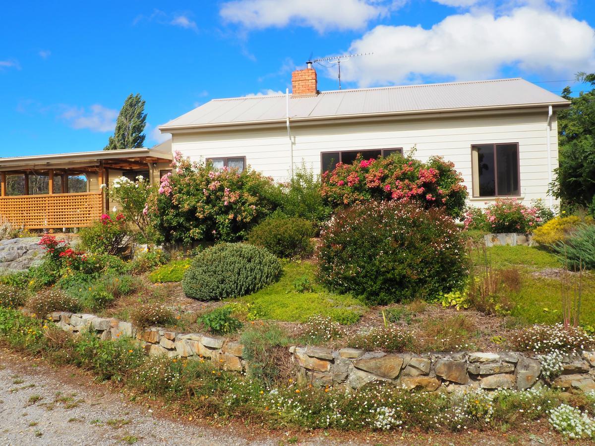 Mole Creek Guesthouse Extérieur photo