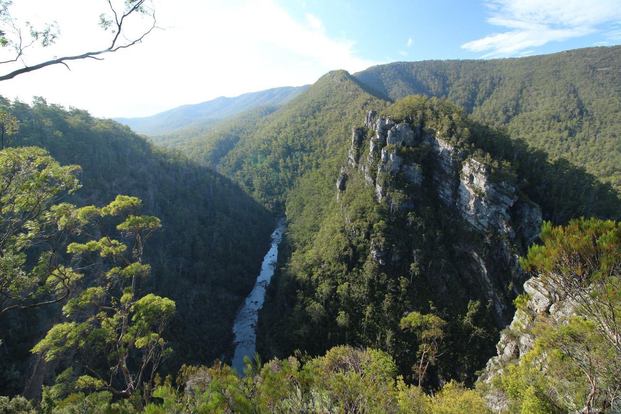 Mole Creek Guesthouse Extérieur photo