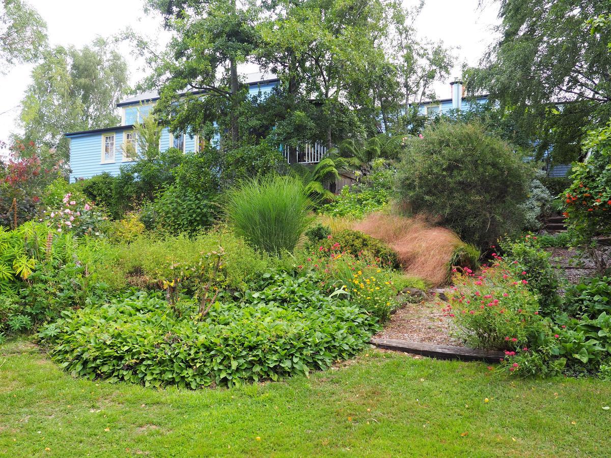 Mole Creek Guesthouse Extérieur photo