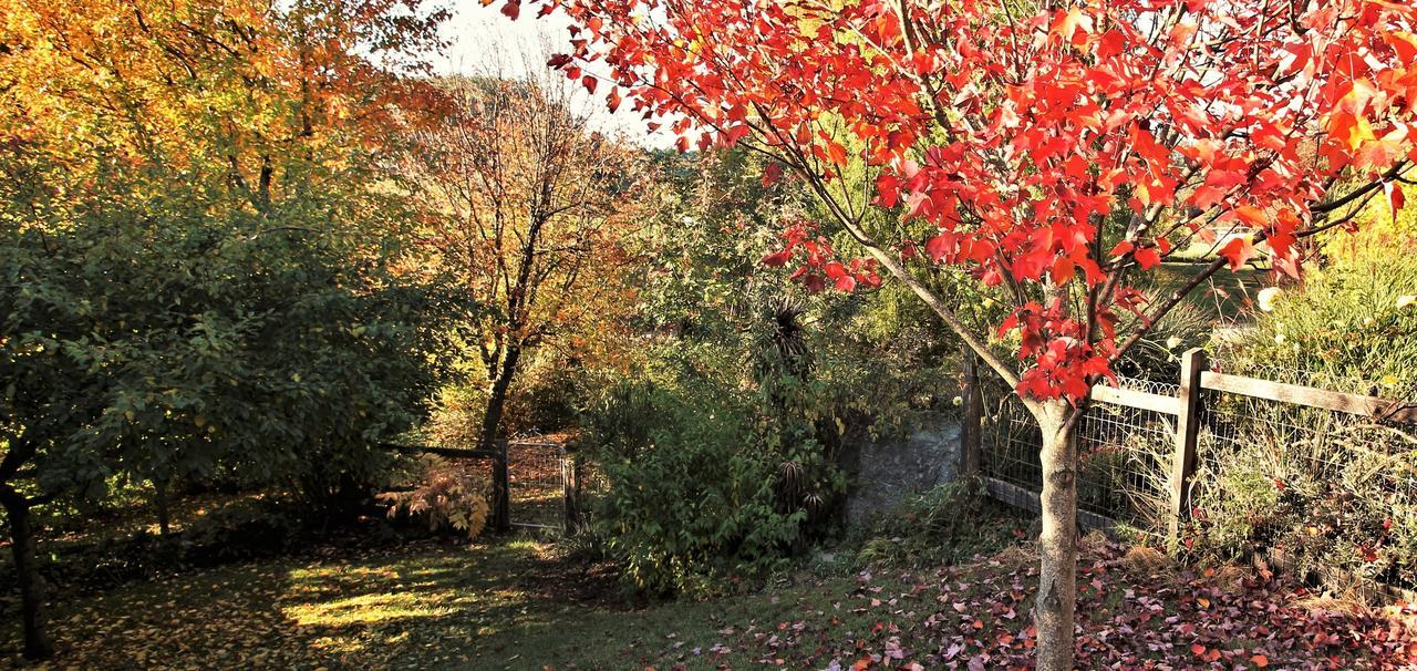 Mole Creek Guesthouse Extérieur photo